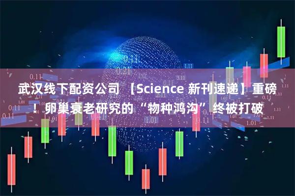 武汉线下配资公司 【Science 新刊速递】重磅！卵巢衰老研究的 “物种鸿沟” 终被打破